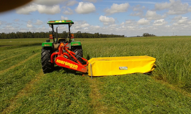 20151103_100002 (800x480).jpg