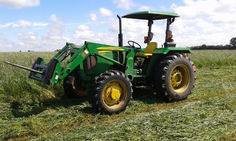 20151103_100105 (800x480).jpg