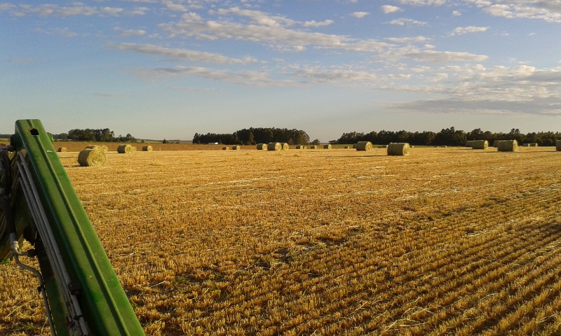 20151108_182227 (800x480).jpg