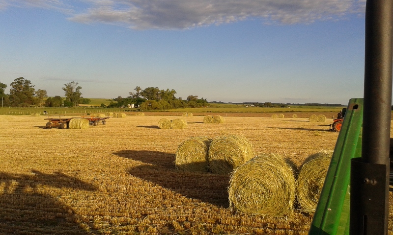 20151108_182234 (800x480).jpg