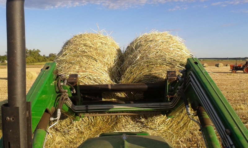 20151108_182307 (800x480).jpg