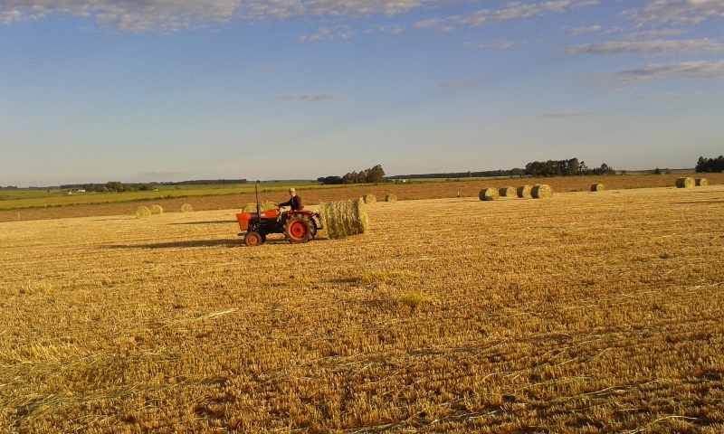 20151108_182319 (800x480).jpg