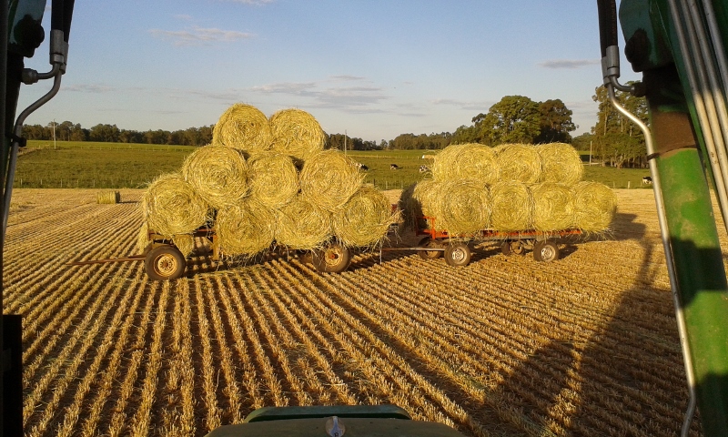 20151108_183411 (800x480).jpg