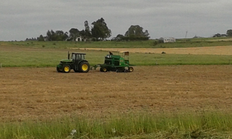 20151104_084156 (800x480).jpg