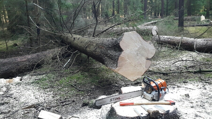 2015-12-09 12.04.21.jpg