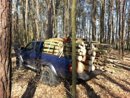 Beladen Wald hinten schräg kompr.jpg