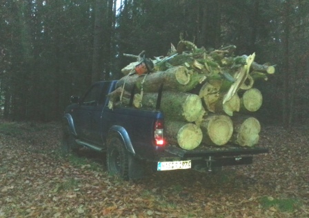 20151106_Großer Stamm.jpg