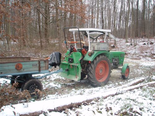 Holz5.jpg