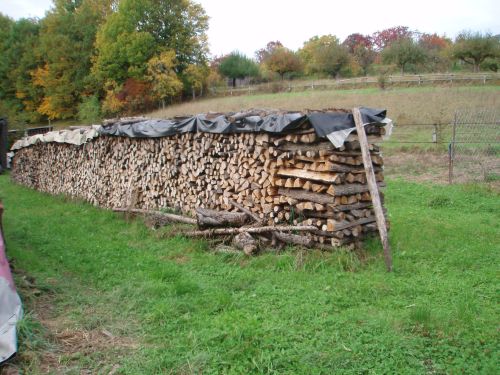 Holz3.jpg