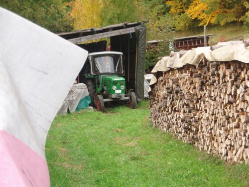 Holz2.jpg