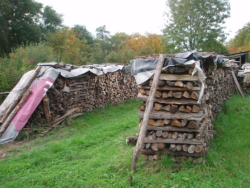 Holz1.jpg