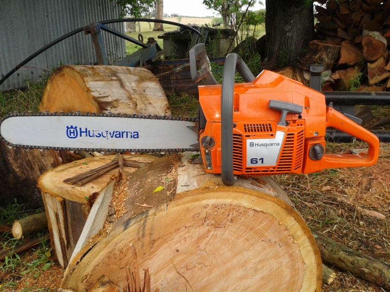 20151223_103716[1] (800x600).jpg