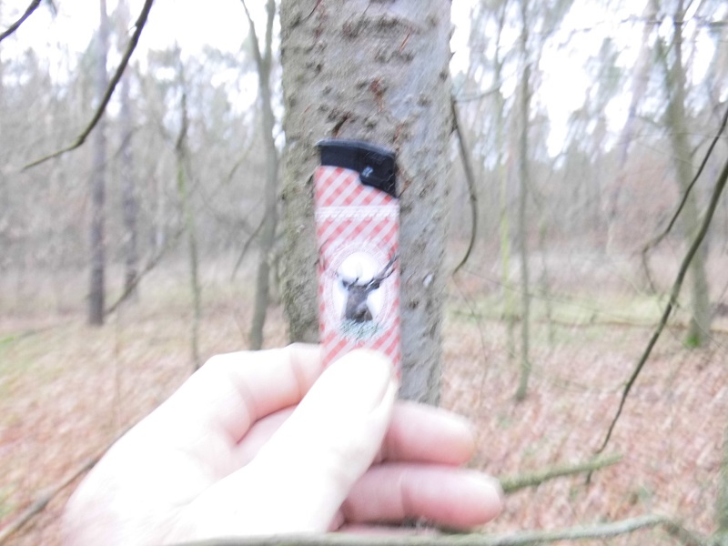 douglasie klein 3.jpg