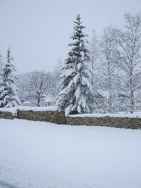 Walter_045_288x384.jpg