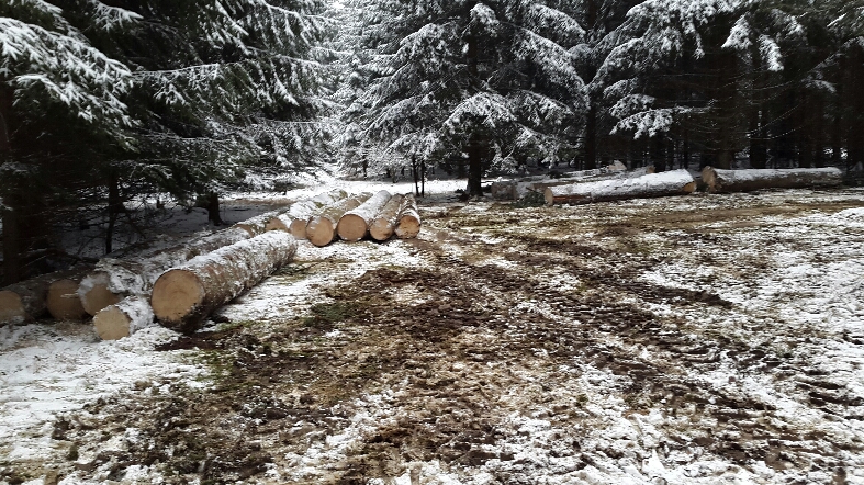 2016-01-03 16.19.32.jpg