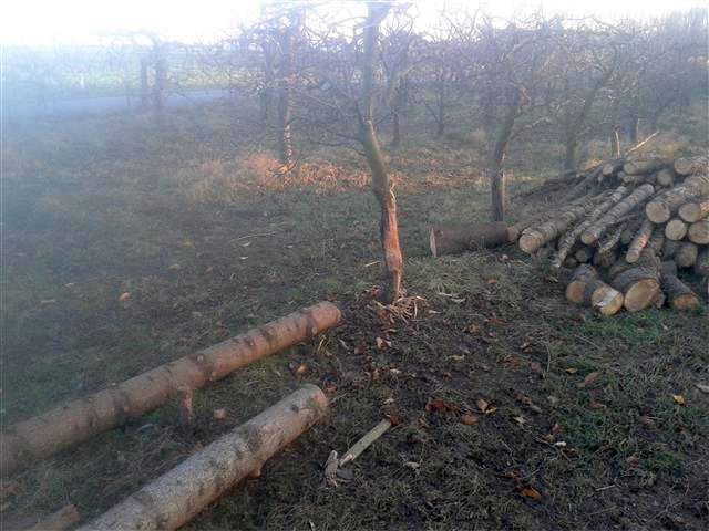 2015-12-31 15.19.59.jpg