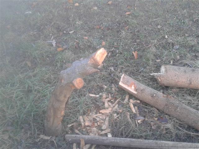 2015-12-31 15.20.12.jpg