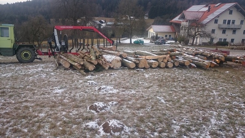 Brennholzlager.JPG