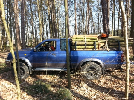 Beladen Wald Seite Hund kompr.jpg