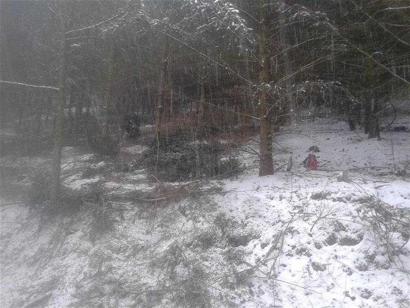 2016-01-23 14.12.02.jpg