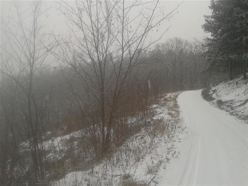 2016-01-23 14.12.57.jpg