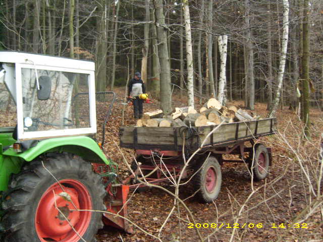 wald u. Forst 041.jpg