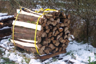 Bilder Jürgen bündel 7.jpg