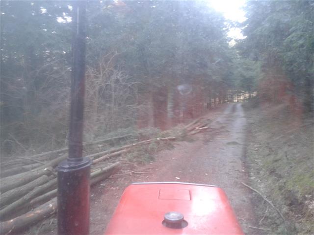 2016-02-06 16.02.41.jpg