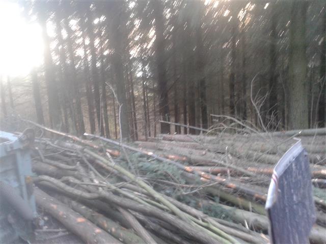 2016-02-06 16.02.56.jpg