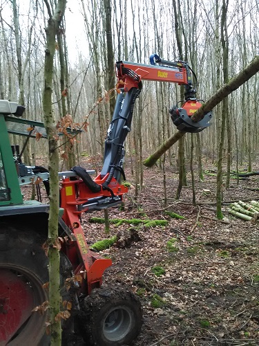 Kran mit Ast im Heckenwald (2).jpg