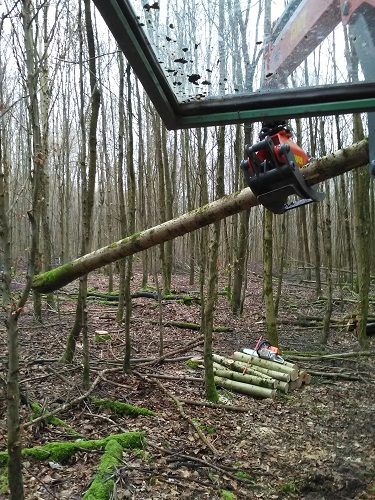 Kran mit Ast im Heckenwald.jpg