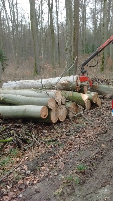 IMG_20160217_152341141 (360x640).jpg