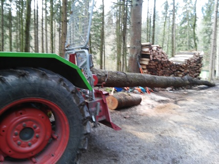Holz Wildgegäge 017.jpg