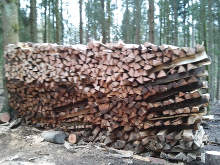 Holz Wildgegäge 021.jpg