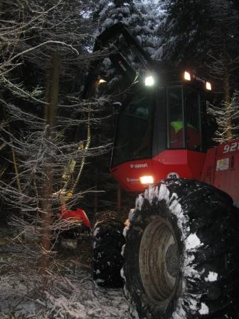 Harvester im Durchforstungseinsatz2.JPG