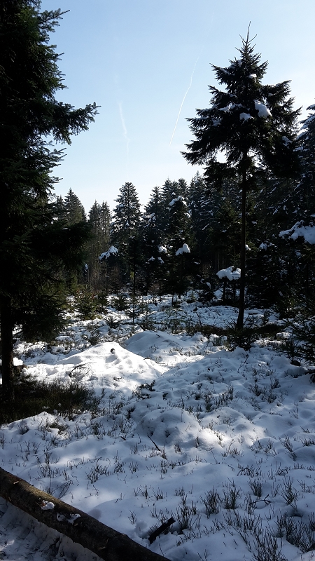 k-der bestand kommt.jpg