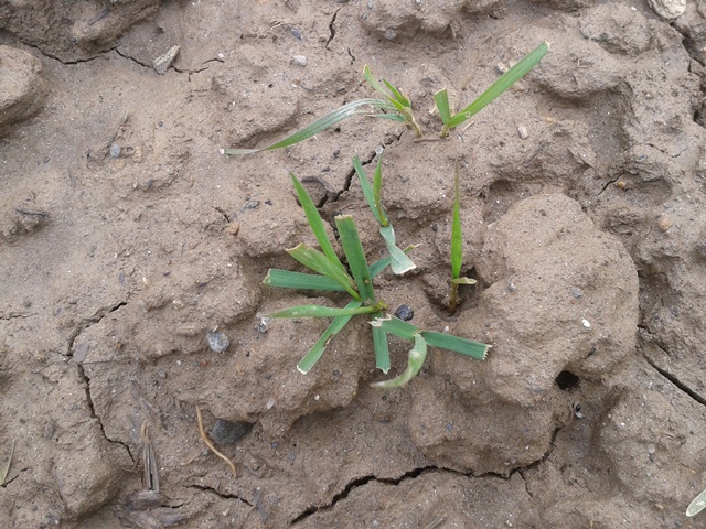 2016-02-28 10.03.20.jpg