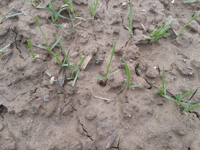 2016-02-28 10.03.31.jpg