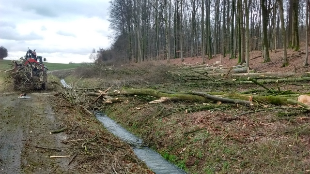 IMG_20160303_113821932_HDR (640x360).jpg