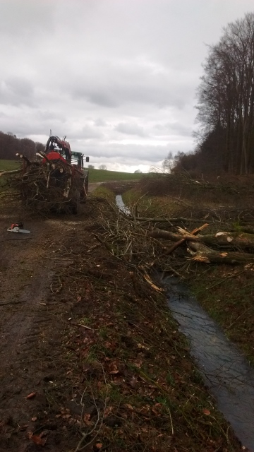 IMG_20160303_113834575 (360x640).jpg