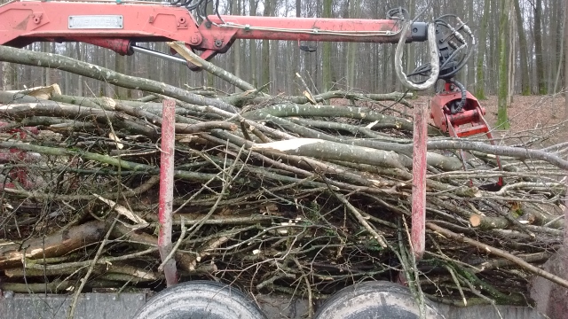 IMG_20160303_143859561 (640x360).jpg