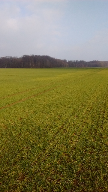 IMG_20160309_162608348 (360x640).jpg