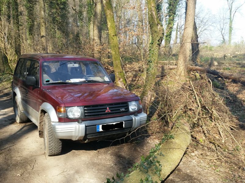 Pajero-Eiche.jpg