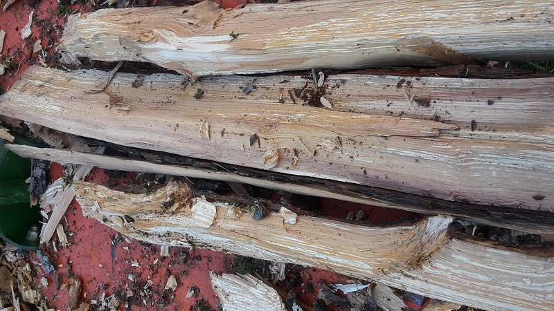 holz.jpg