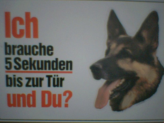 wachhund.jpg