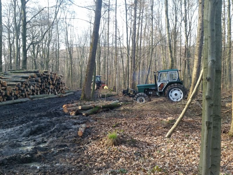 20160326_165404.jpg