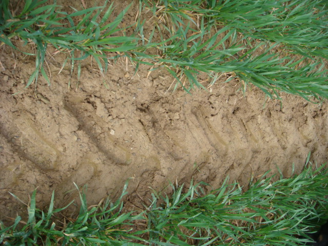 Elixer Fahrgasse.JPG