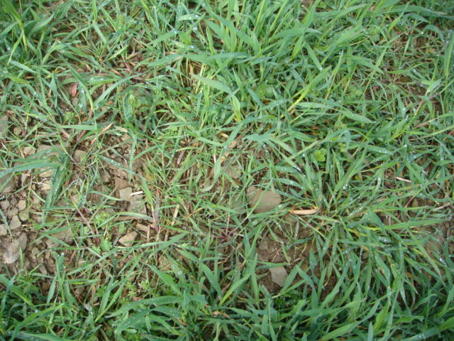 AFS mit Bio-Siegel.JPG