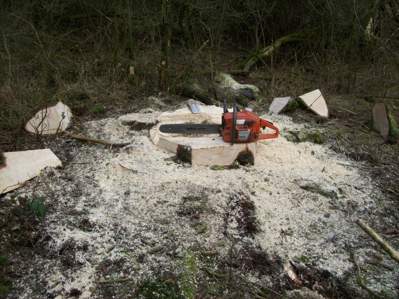 H 16 15.jpg