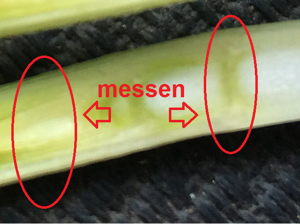 Ähre Knoten messen.png